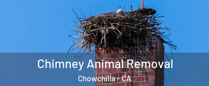  Chimney Animal Removal Chowchilla - CA
