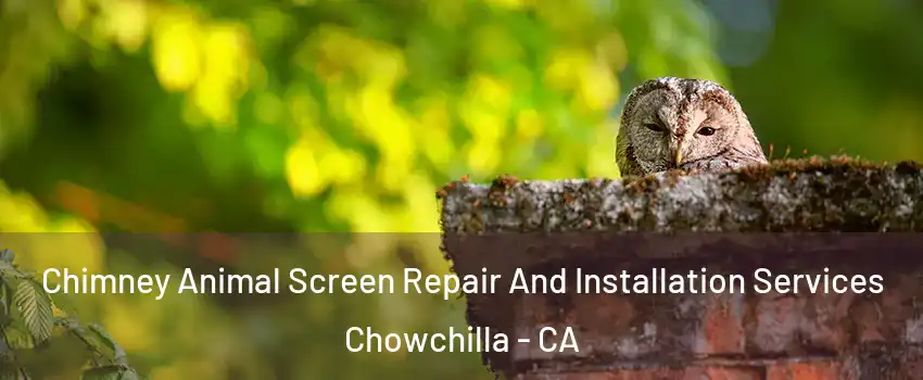  Chimney Animal Screen Repair And Installation Services Chowchilla - CA