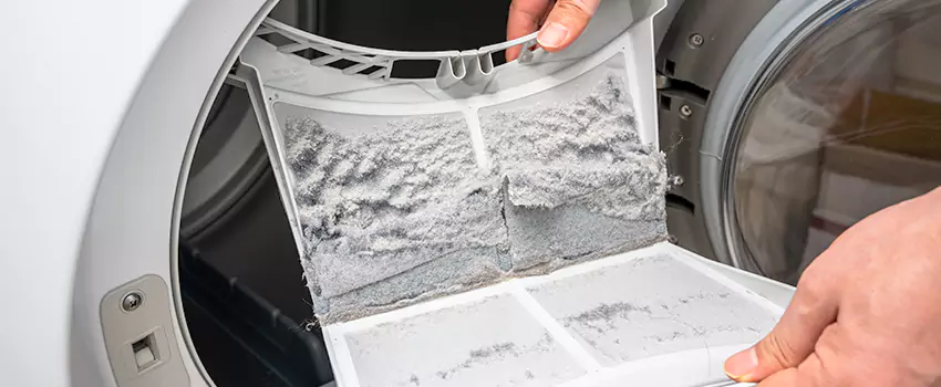 Best Dryer Lint Removal Company in Chowchilla, California