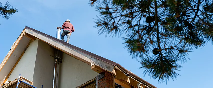 Birds Removal Contractors from Chimney in Chowchilla, CA