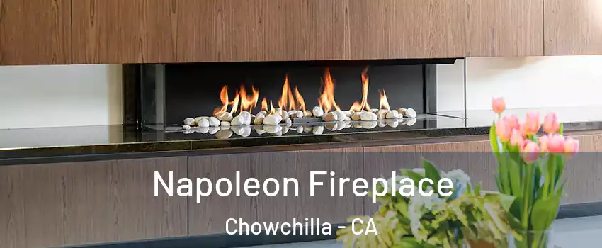  Napoleon Fireplace Chowchilla - CA