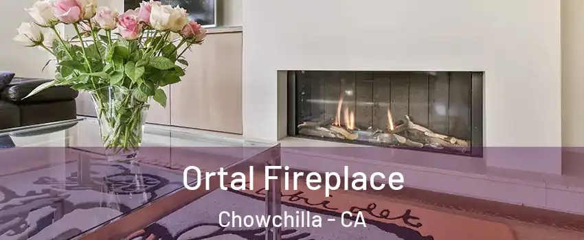  Ortal Fireplace Chowchilla - CA
